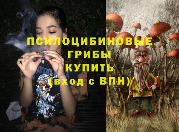 дмт Верхний Тагил